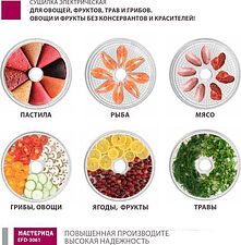 Сушилка для овощей и фруктов Мастерица EFD-3061 (зеленый перламутр) Сушилка для овощей и фруктов Мастерица EFD-3061 (зеленый перламутр)