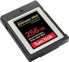 Карта памяти SanDisk Extreme Pro CFexpress Type B SDCFE-256G-GN4NN 256GB Карта памяти SanDisk Extreme Pro CFexpress Type B SDCFE-256G-GN4NN 256GB