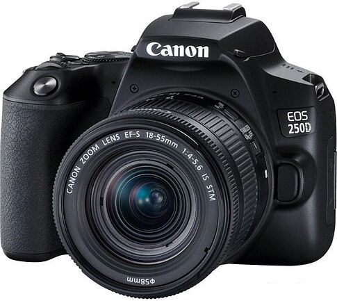 Зеркальный фотоаппарат Canon EOS 250D Kit 18-55 IS STM (черный)