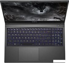 Игровой ноутбук Colorful X15 XS 22 A10205400040