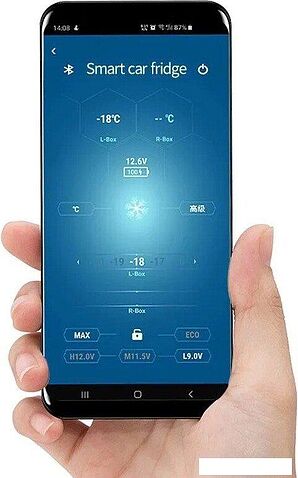 Компрессорный автохолодильник Alpicool XD55 (черный, с адаптером GVE 12/24/115/230V)