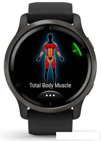 Умные часы Garmin Venu 2 (сланцевая нержавеющая сталь/черный)