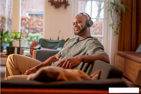 Наушники Philips TAH4209 (черный)