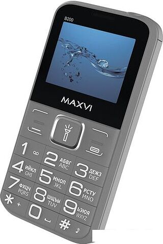 Кнопочный телефон Maxvi B200 (серый)