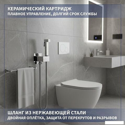 Гигиенический душ Lauter Rainix 21LT7711CH