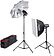 Вспышка Godox E250-F