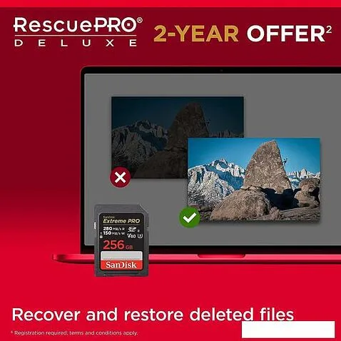 Карта памяти SanDisk Extreme PRO SDXC SDSDXEP-256G-GN4IN 256GB