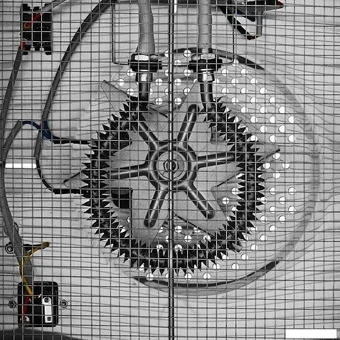 Сушилка для овощей и фруктов Kitfort KT-4919