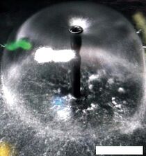 Насос SunSun CHJ-1503