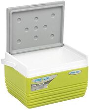 Термобокс Pinnacle TPX-6007-11-G 11л (зеленый) Термобокс Pinnacle TPX-6007-11-G 11л (зеленый)