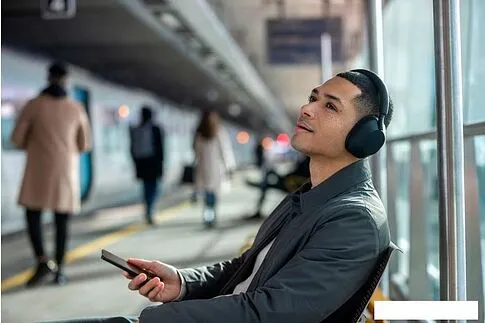 Наушники Sony WH-1000XM5 (черный)