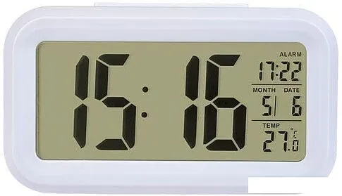 Радиочасы Perfeo Snuz PF-S2166 (белый)