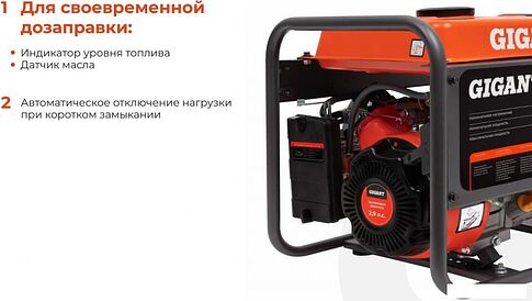 Бензиновый генератор Gigant GGL-3300E