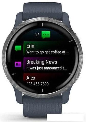 Умные часы Garmin Venu 2 (нержавеющая сталь/синий гранит)