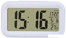 Радиочасы Perfeo Snuz PF-S2166 (белый)