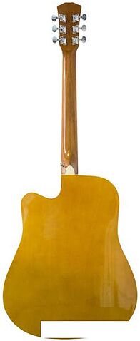 Акустическая гитара Elitaro E4110 N