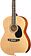 Акустическая гитара Homage LF-3910