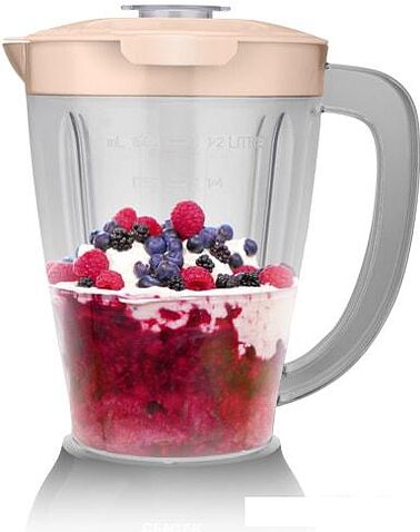 Стационарный блендер CENTEK CT-1348 (черный)