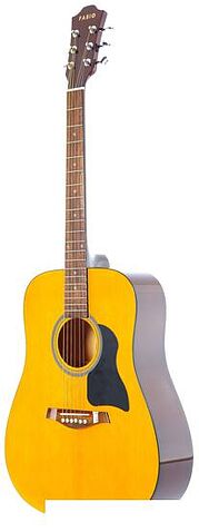 Акустическая гитара Fabio FW220 N