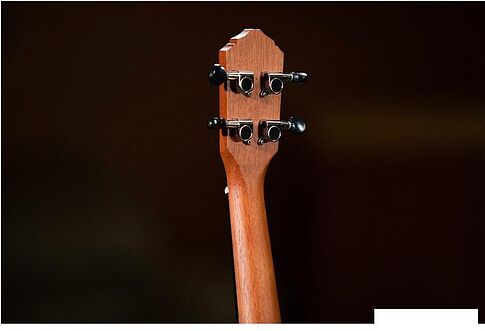 Укулеле Ortega Bonfire RU5MM-SO