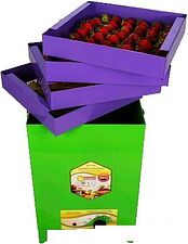 Сушилка для овощей и фруктов УЗБИ Сухофрукт В02