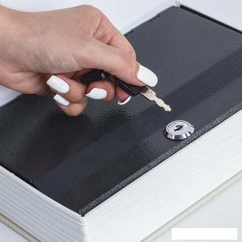 Сейф-книга BRAUBERG Финансист