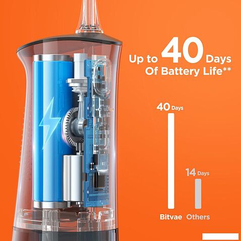 Ирригатор  Bitvae C2 (черный)