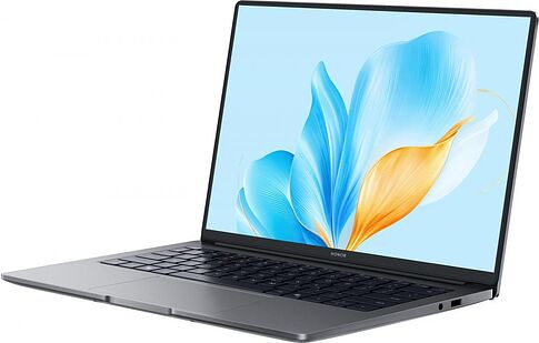 Ноутбук HONOR MagicBook X14 2025 FRG-X 5301ALXJ