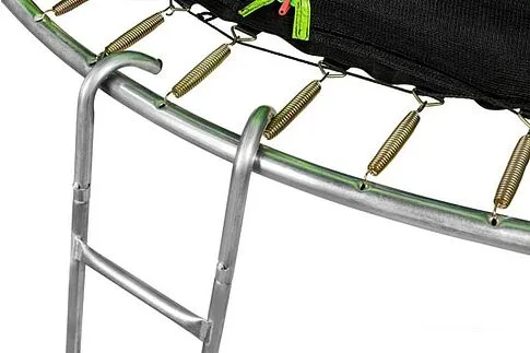 Батут Alpin Sky 10ft - 312 см с защитной сеткой и лестницей