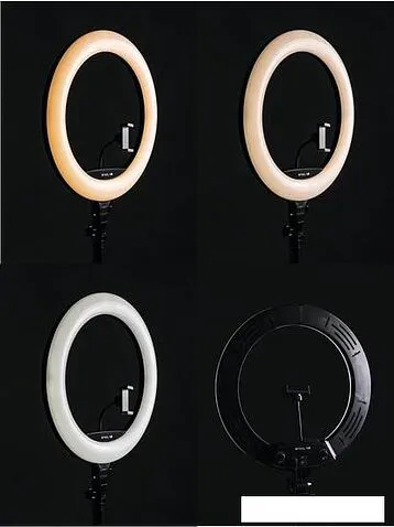 Кольцевая лампа Raylab RL-0118 Kit