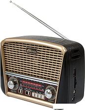 Радиоприемник Ritmix RPR-050 (золотой)