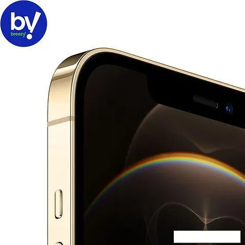 Смартфон Apple iPhone 12 Pro Max 256GB Воcстановленный by Breezy, грейд B (золотистый)