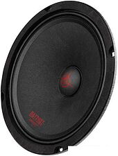 Среднечастотная АС Урал АС-ПТ200