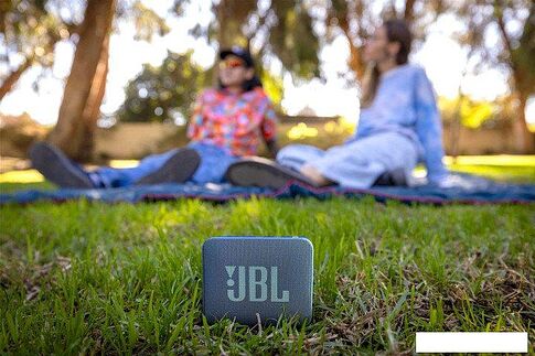Беспроводная колонка JBL Go Essential 2 (синий)