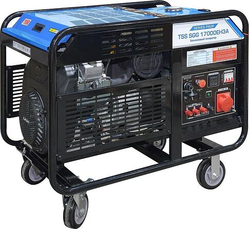 Бензиновый генератор ТСС SGG 17000EH3A
