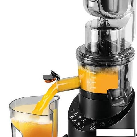 Соковыжималка Garlyn J-600 Max