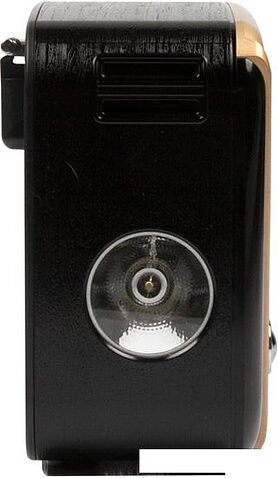 Радиоприемник Ritmix RPR-050 (золотой)