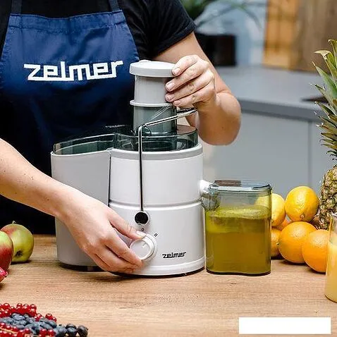 Соковыжималка Zelmer ZJE3800