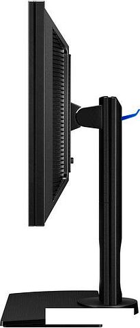 Монитор BenQ BL2420PT