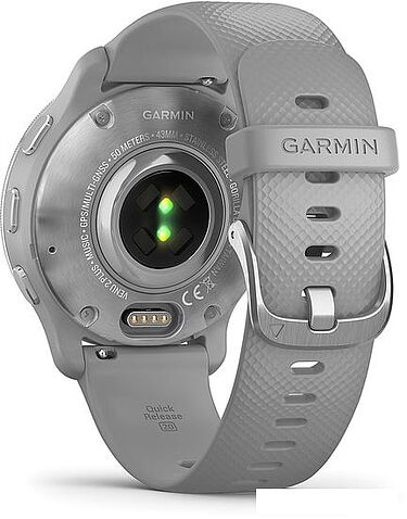 Умные часы Garmin Venu 2 Plus (серебристый/серый)