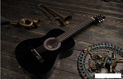 Акустическая гитара Terris TF-3802A BK