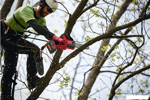 Аккумуляторная пила Milwaukee M18 FHS20-0 4933480117 (без АКБ)