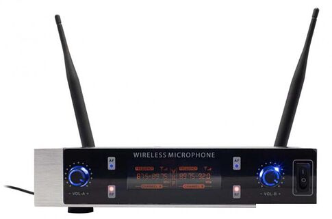 Радиосистема Ritmix RWM-230