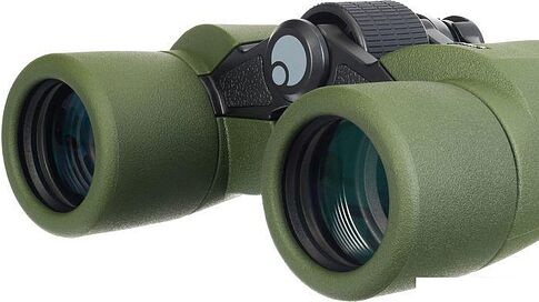 Бинокль Levenhuk Army 8x40 с сеткой (зеленый)