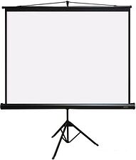 Проекционный экран PL Magna TRM-NTSC-100D Проекционный экран PL Magna TRM-NTSC-100D