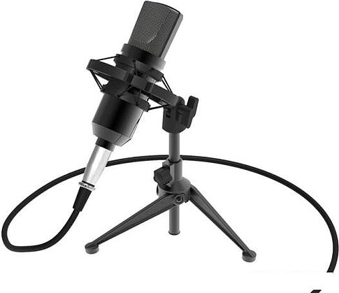 Микрофон Ritmix RDM-160