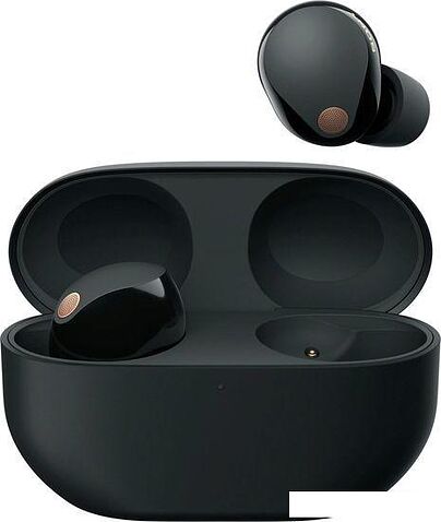 Наушники Sony WF-1000XM5 (черный)