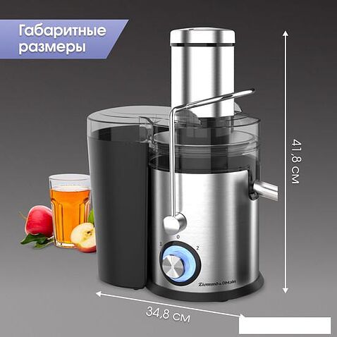 Соковыжималка Zigmund & Shtain EJ-756