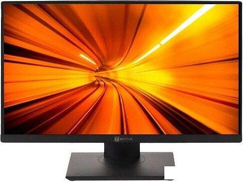 Моноблок ТЕСЛА P24BP 2116500