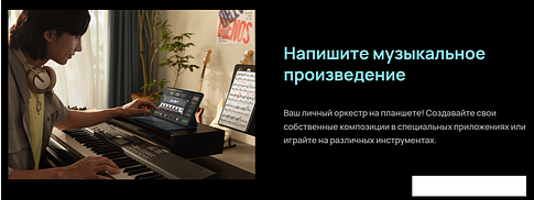 Планшет Huawei MatePad Pro 11" GOT-W29 8GB/256GB (черный)